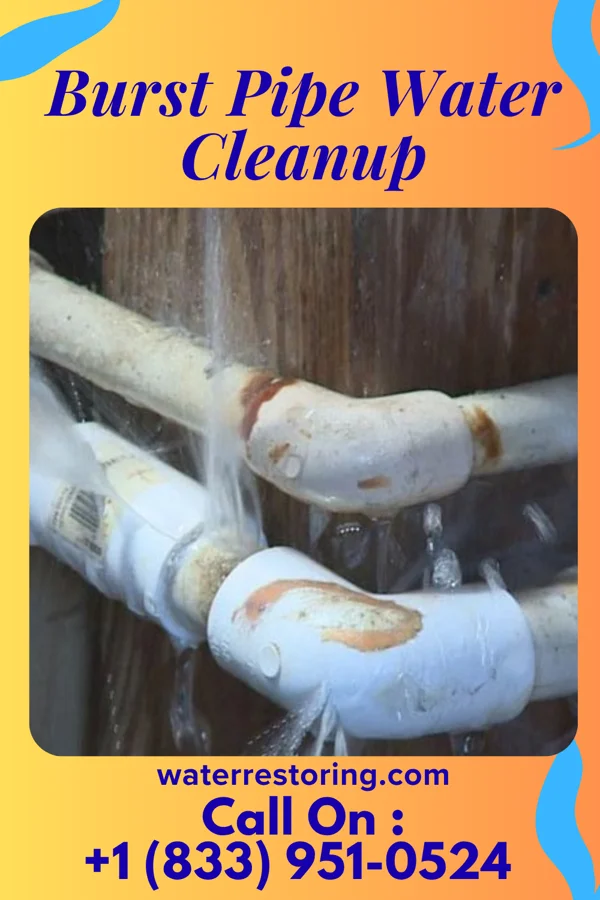 Burst Pipe Water Cleanup in Brazoria, TX