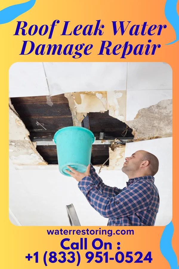 Roof Leak Water Damage Repair in Brazoria, TX