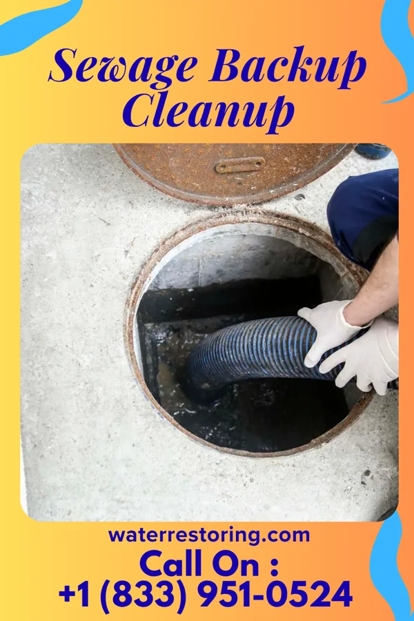 Sewage Backup Cleanup in Brazoria, TX